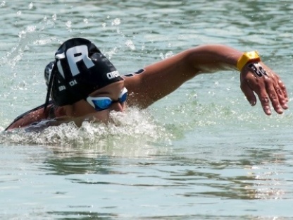 XVII FINA World Championships Aquatics Budapest