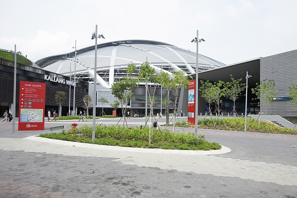 during the FINA Swimming World Cup at the Singapore Sports Hub on November 1, 2014 in Singapore.