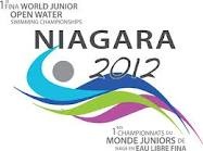 LOGO NIAGARA.jpg