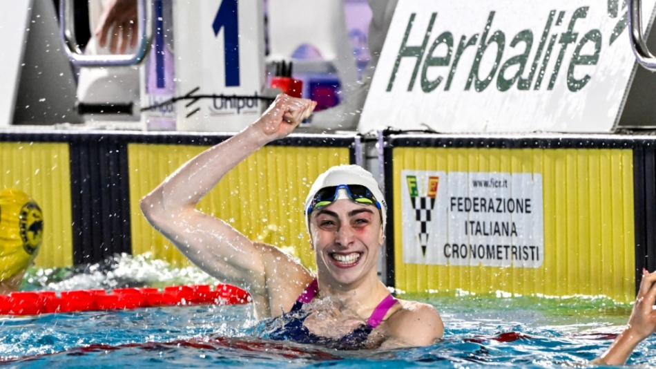 lisa angiolini lisa angiolini