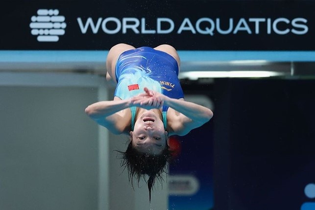 jia chen