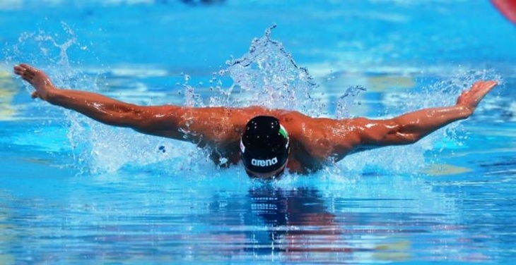 Campionati Mondiali di nuoto Barcellona 2013