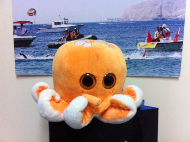 mascotte eilat 